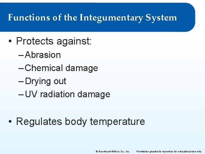 Functions of the Integumentary System • Protects against: – Abrasion – Chemical damage –