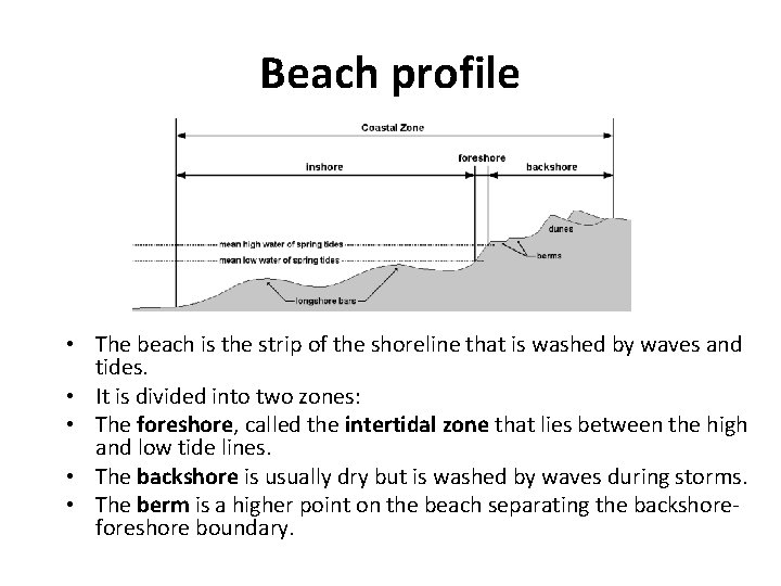 Beach profile • The beach is the strip of the shoreline that is washed