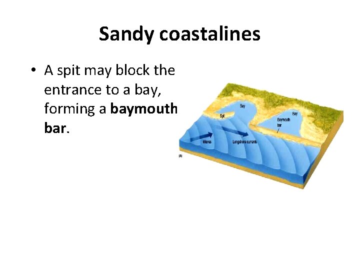 Sandy coastalines • A spit may block the entrance to a bay, forming a