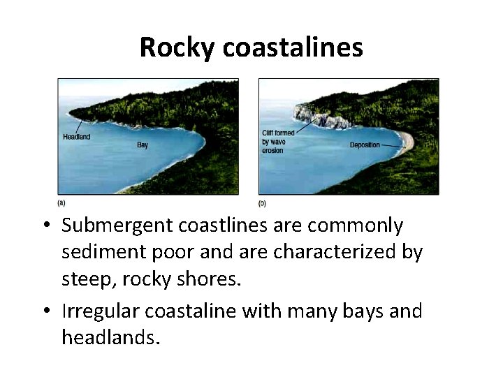 Rocky coastalines • Submergent coastlines are commonly sediment poor and are characterized by steep,