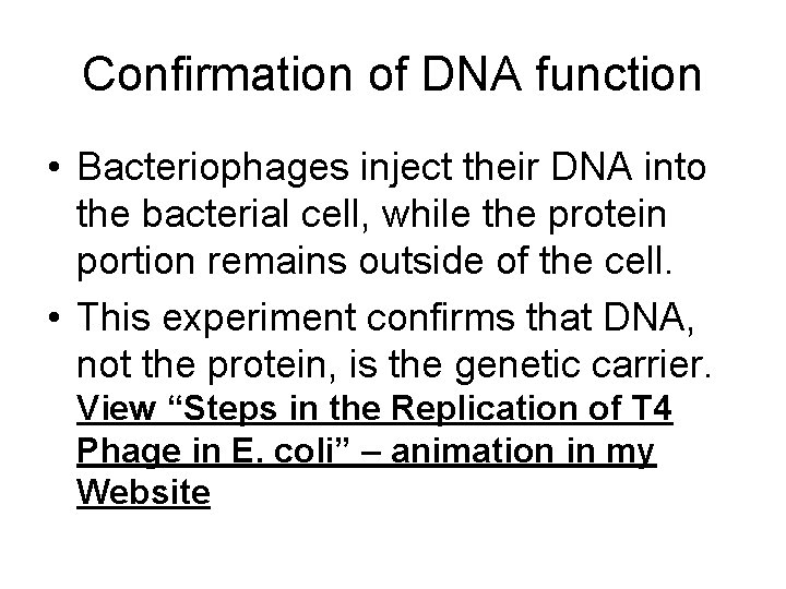 Confirmation of DNA function • Bacteriophages inject their DNA into the bacterial cell, while