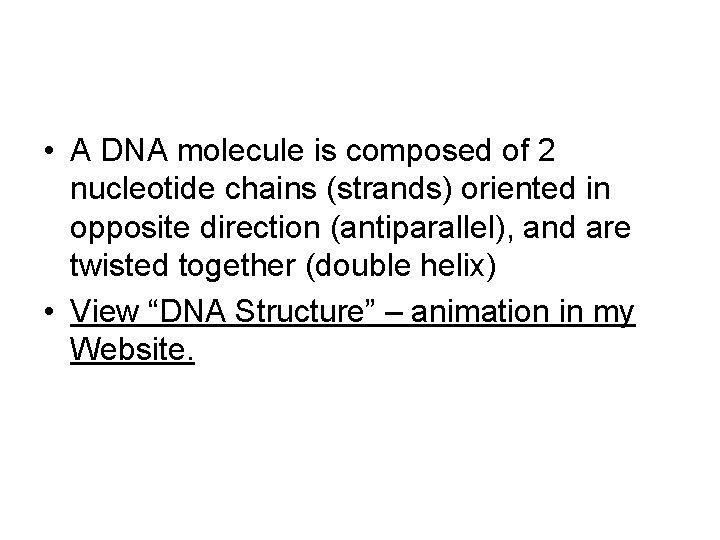  • A DNA molecule is composed of 2 nucleotide chains (strands) oriented in