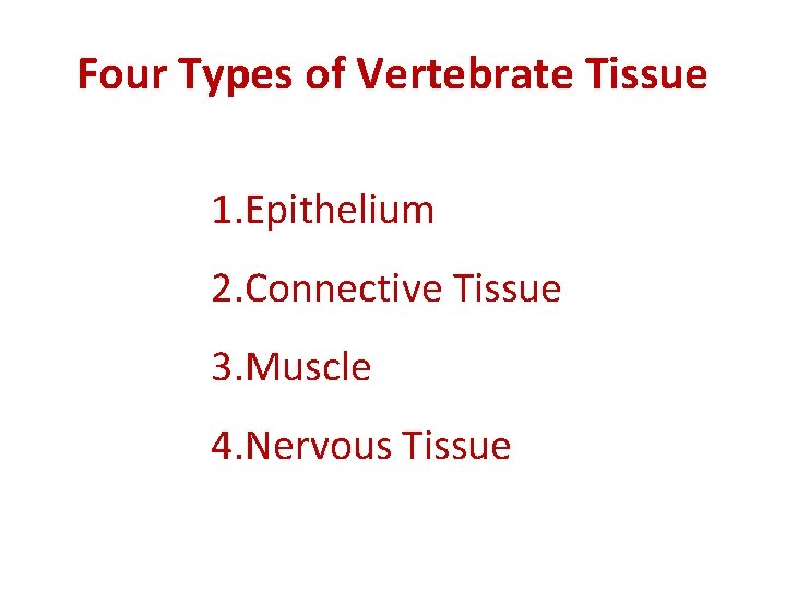 Four Types of Vertebrate Tissue 1. Epithelium 2. Connective Tissue 3. Muscle 4. Nervous