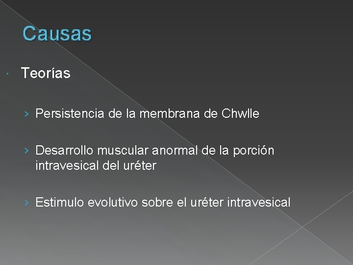Causas Teorías › Persistencia de la membrana de Chwlle › Desarrollo muscular anormal de