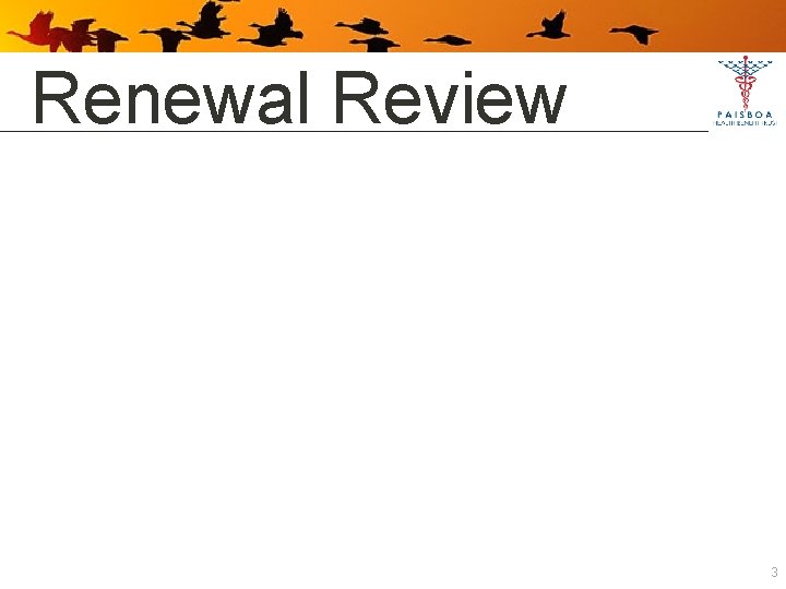 Renewal Review 3 