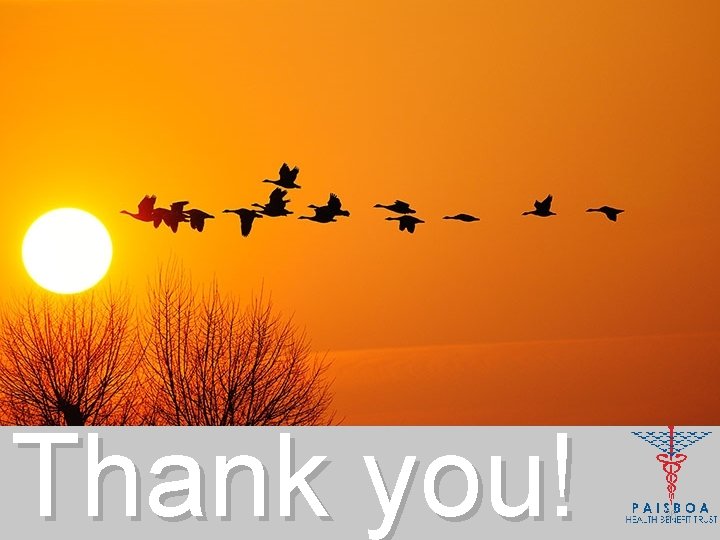 Thank you! 36 