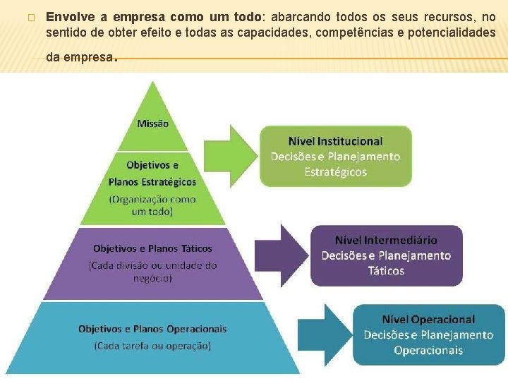 � Envolve a empresa como um todo: abarcando todos os seus recursos, no sentido