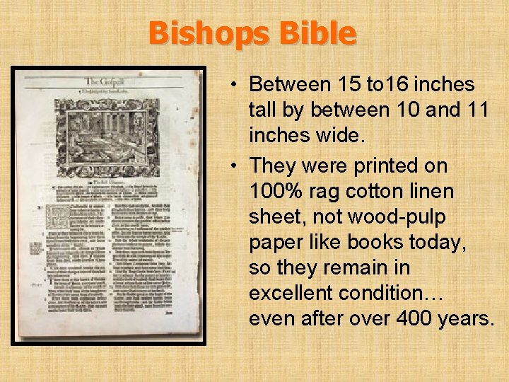 Bishops Bible • Between 15 to 16 inches tall by between 10 and 11