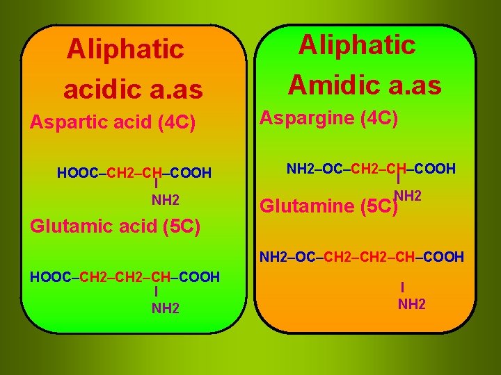 Aliphatic acidic a. as Aspartic acid (4 C) HOOC–CH 2–CH–COOH I NH 2 Glutamic