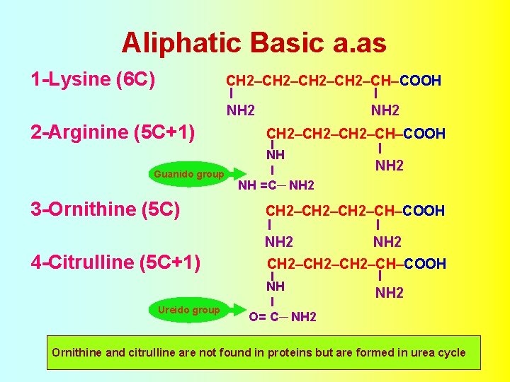 Aliphatic Basic a. as 1 -Lysine (6 C) CH 2–CH–COOH I I NH 2