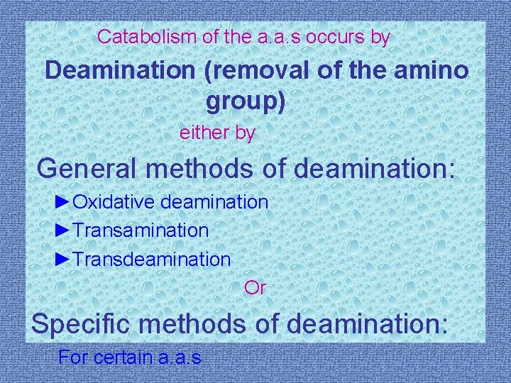 Catabolism of the a. a. s occurs by Deamination (removal of the amino group)