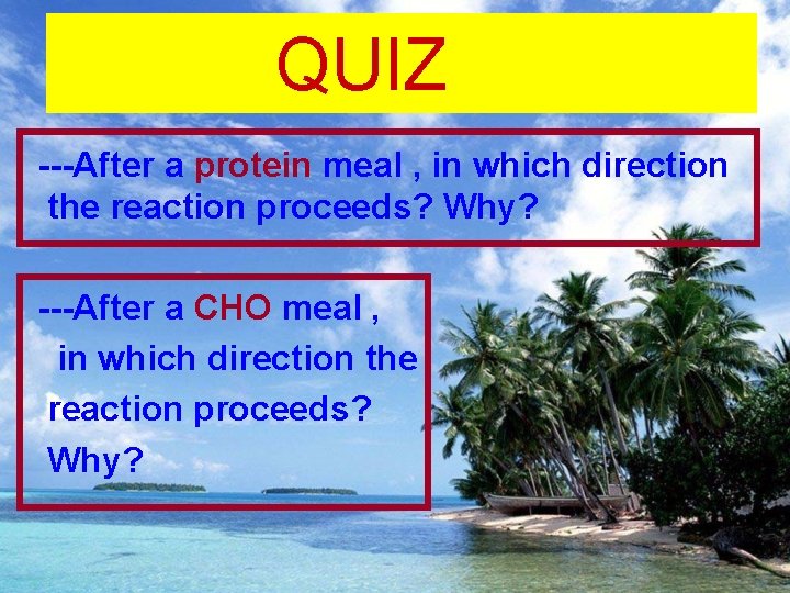 QUIZ ---After a protein meal , in which direction the reaction proceeds? Why? ---After