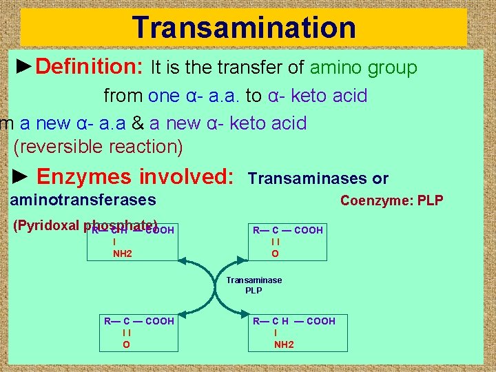 Transamination ►Definition: It is the transfer of amino group from one α- a. a.