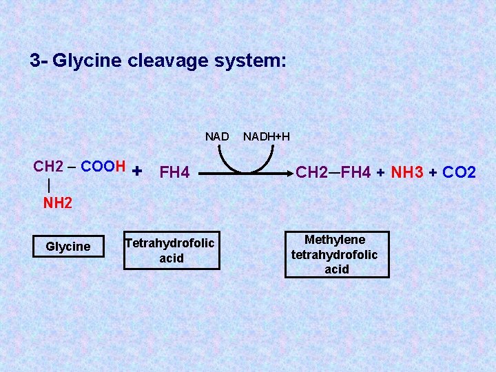 3 - Glycine cleavage system: NAD CH 2 – COOH | NH 2 Glycine