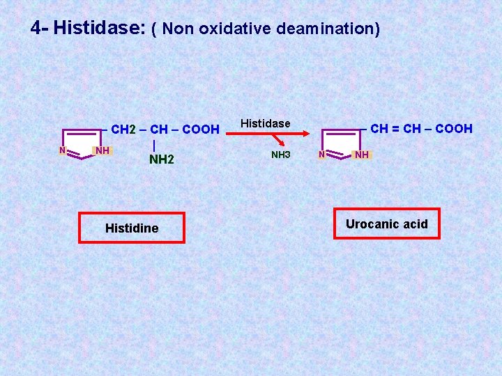 4 - Histidase: ( Non oxidative deamination) N – CH 2 – CH –