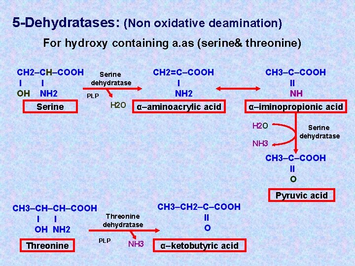 5 -Dehydratases: (Non oxidative deamination) For hydroxy containing a. as (serine& threonine) CH 2–CH–COOH