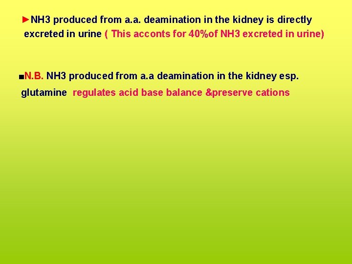 ►NH 3 produced from a. a. deamination in the kidney is directly excreted in