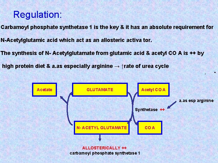 Regulation: Carbamoyl phosphate synthetase 1 is the key & it has an absolute requirement
