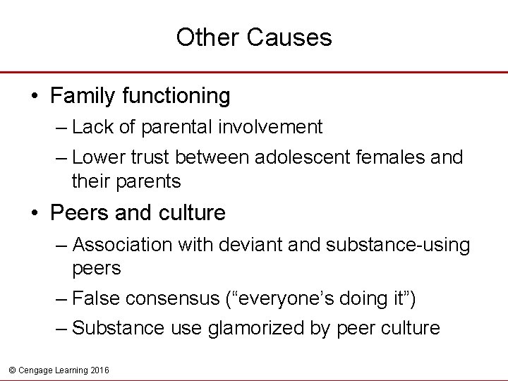 Other Causes • Family functioning – Lack of parental involvement – Lower trust between