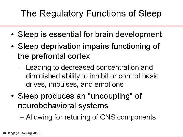 The Regulatory Functions of Sleep • Sleep is essential for brain development • Sleep