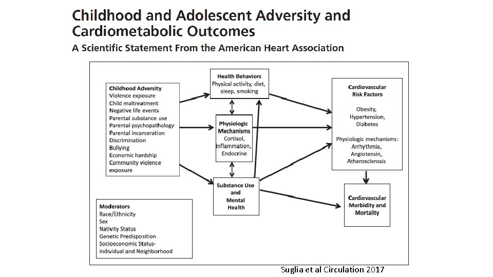 Suglia et al Circulation 2017 