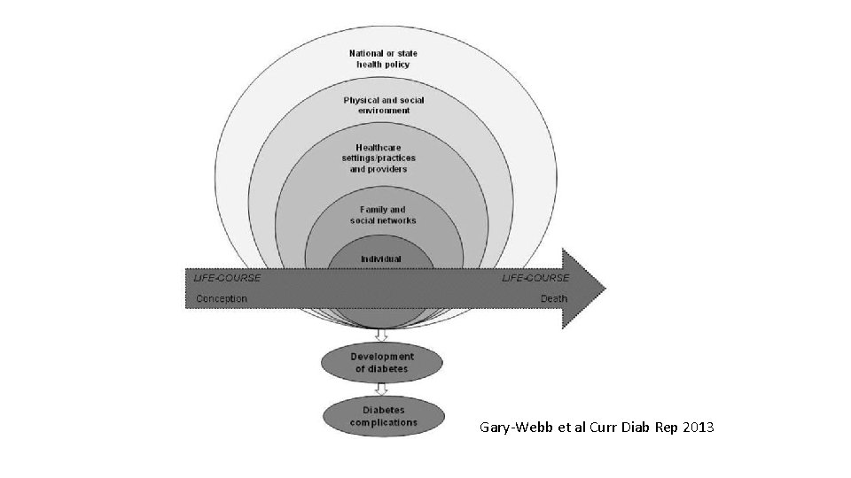 Gary-Webb et al Curr Diab Rep 2013 