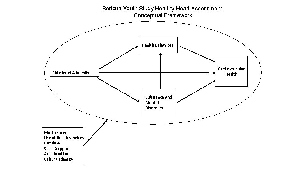 Boricua Youth Study Healthy Heart Assessment: Conceptual Framework Health Behaviors Cardiovascular Health Childhood Adversity