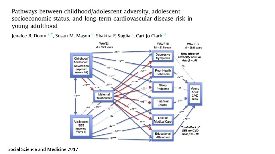 Social Science and Medicine 2017 