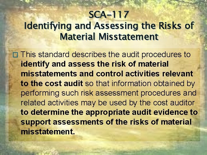 SCA-117 Identifying and Assessing the Risks of Material Misstatement � This standard describes the