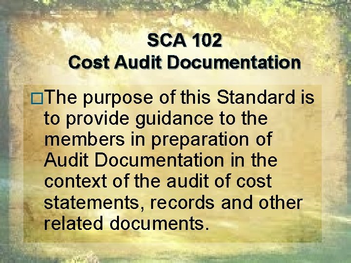 SCA 102 Cost Audit Documentation �The purpose of this Standard is to provide guidance