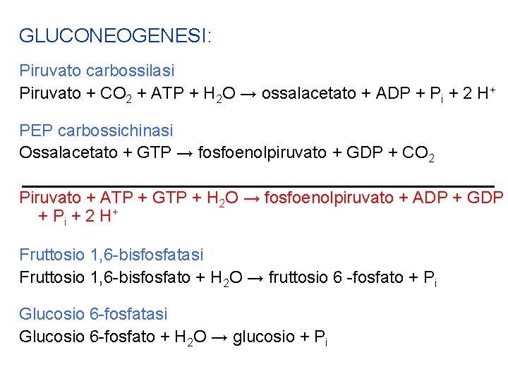 GLUCONEOGENESI: Piruvato carbossilasi Piruvato + CO 2 + ATP + H 2 O →