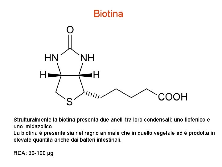 Biotina Strutturalmente la biotina presenta due anelli tra loro condensati: uno tiofenico e uno