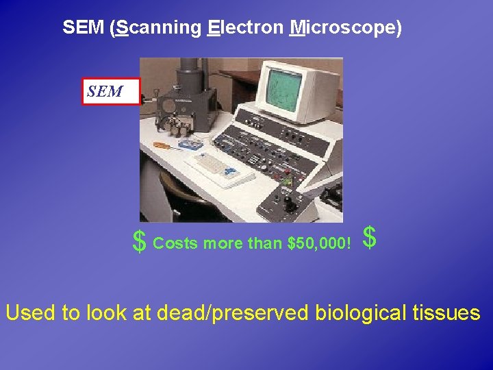 SEM (Scanning Electron Microscope) SEM $ Costs more than $50, 000! $ Used to
