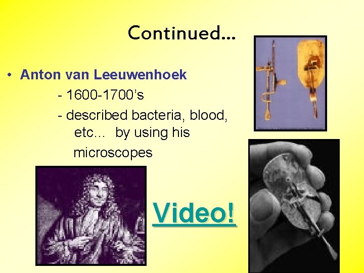 Continued… • Anton van Leeuwenhoek - 1600 -1700’s - described bacteria, blood, etc… by