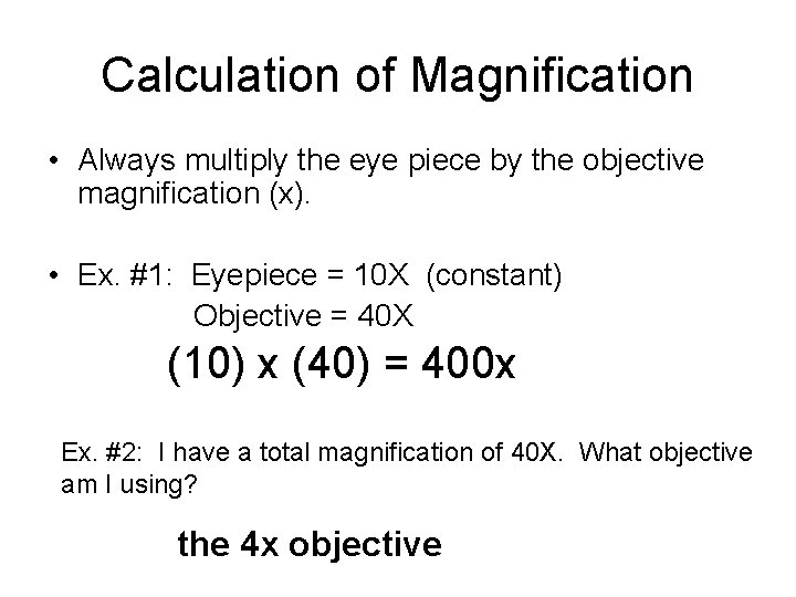 Calculation of Magnification • Always multiply the eye piece by the objective magnification (x).