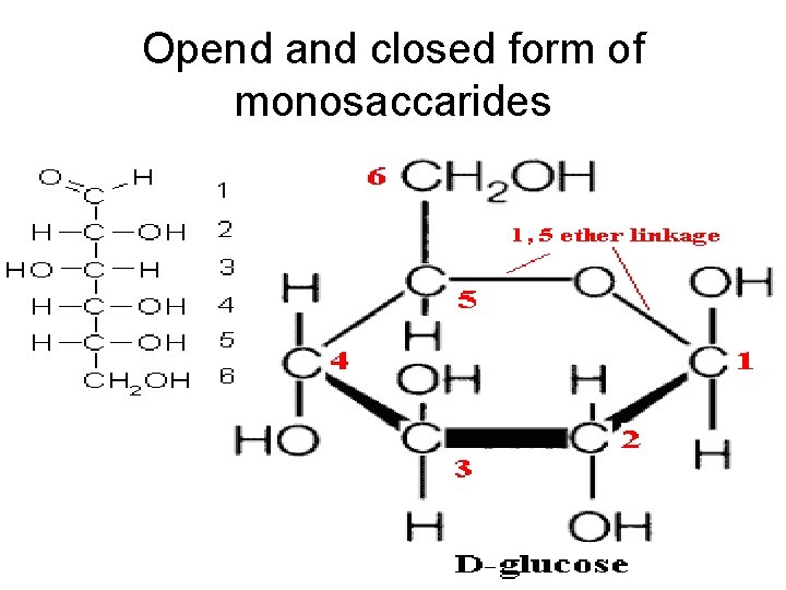 Opend and closed form of monosaccarides 