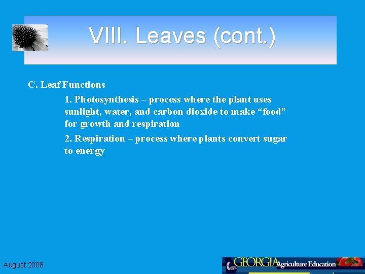 VIII. Leaves (cont. ) C. Leaf Functions 1. Photosynthesis – process where the plant