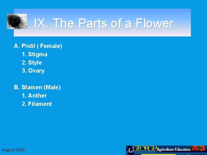 IX. The Parts of a Flower A. Pistil ( Female) 1. Stigma 2. Style