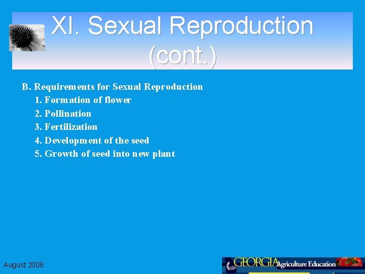 XI. Sexual Reproduction (cont. ) B. Requirements for Sexual Reproduction 1. Formation of flower