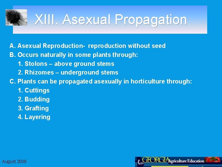 XIII. Asexual Propagation A. Asexual Reproduction- reproduction without seed B. Occurs naturally in some