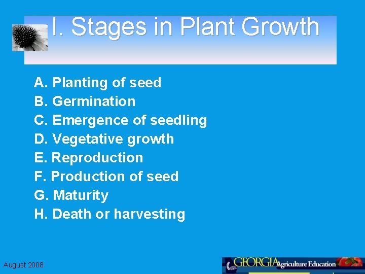 I. Stages in Plant Growth A. Planting of seed B. Germination C. Emergence of