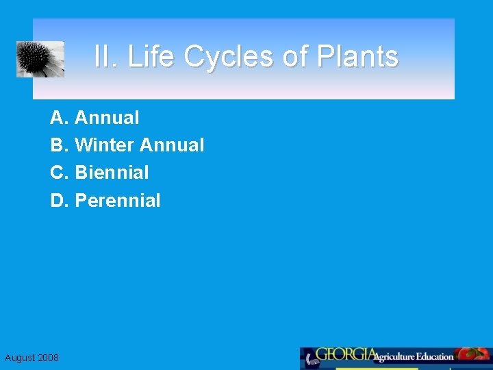 II. Life Cycles of Plants A. Annual B. Winter Annual C. Biennial D. Perennial