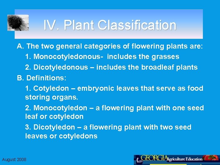IV. Plant Classification A. The two general categories of flowering plants are: 1. Monocotyledonous-