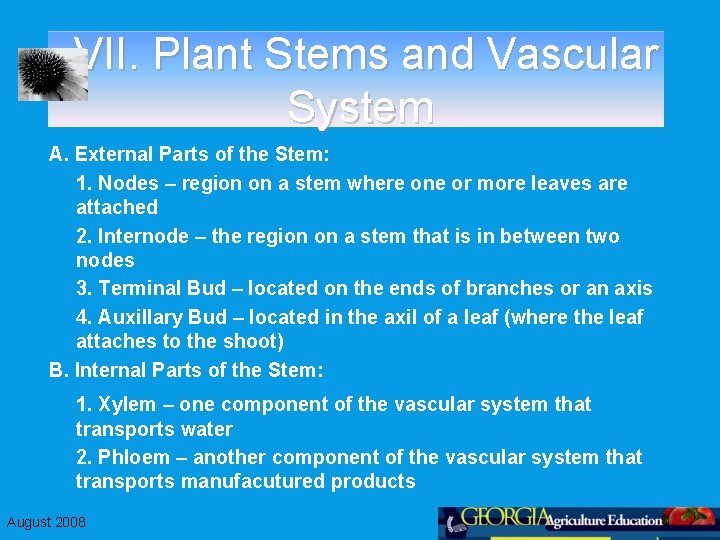 VII. Plant Stems and Vascular System A. External Parts of the Stem: 1. Nodes