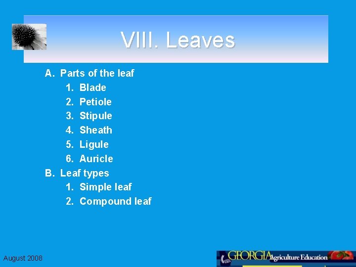 VIII. Leaves A. Parts of the leaf 1. Blade 2. Petiole 3. Stipule 4.