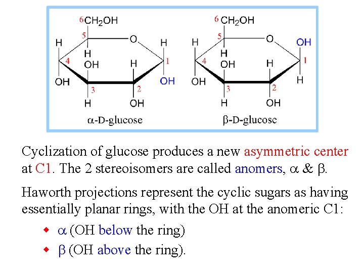 Cyclization of glucose produces a new asymmetric center at C 1. The 2 stereoisomers