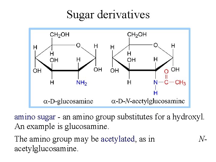 Sugar derivatives amino sugar - an amino group substitutes for a hydroxyl. An example