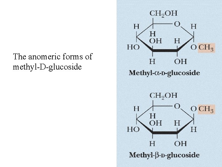 The anomeric forms of methyl-D-glucoside 