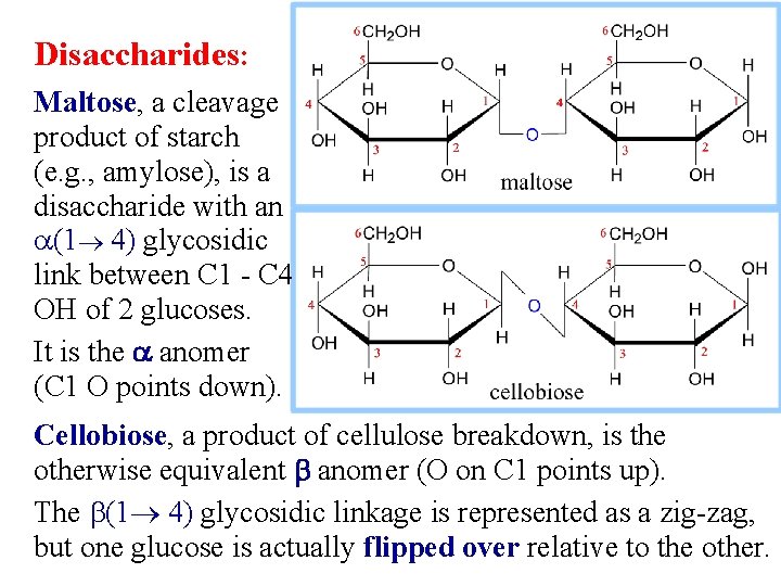 Disaccharides: Maltose, a cleavage product of starch (e. g. , amylose), is a disaccharide