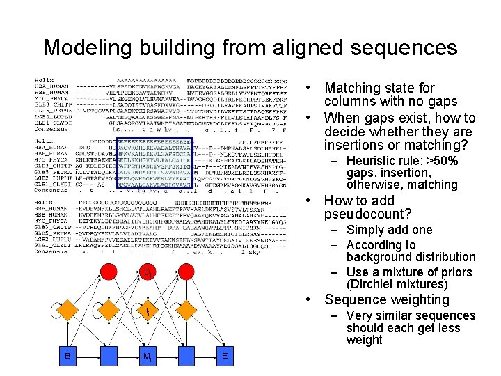 Modeling building from aligned sequences • Matching state for columns with no gaps •